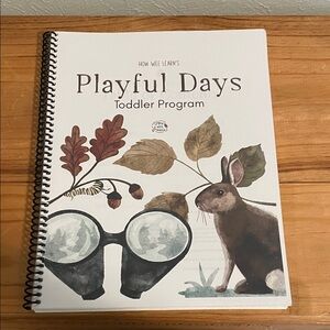 Playful Days Toddler Program